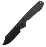 Raccoon A2910