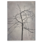 Shadowplay 3 Art Print - A4 No Frame Print Only
