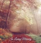 In Loving Memory Funeral Guest Book Memorial Guest Book Condolence Book Remembrance Book For Funerals Or Wake Memorial Service G