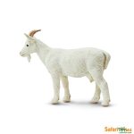 Farm Nanny Goat