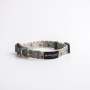 Einstein Collar - Dog Collar - Small