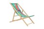 Wooden Beach Chair - Blue Parrots