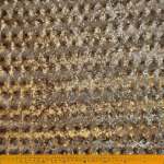 Tulle Spangle Zebra -5