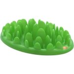 Pet Slow Feeder - Green