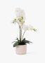 Artificial Orchid Plant