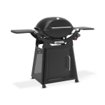 Weber Q3200N+ ZA 1501145