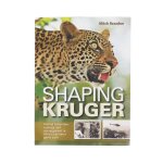 Shaping Kruger