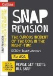 The Curious Incident Of The Dog In The Night-time: Aqa Gcse English Literature Text Guide Paperback