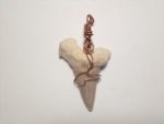 Fossil Shark Tooth Ass Wire Wrapped Pendant NW19