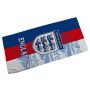 International World Cup Team Printed Sports Towel Absorbent Microfiber
