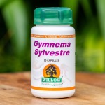 Gymnema Sylvestre 50 Capsules Willow