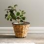 Tapered With Hyacinth Lined Planter Basket Black