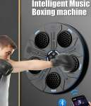 Intellinet Intelligent Music Boxing Machine