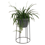 Curved Planter Stand - Medium - Sandpaper Black