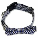 Small Blue Checkered Bow Tie Dog Collar Stylish Pet Accessory Waggs Pet Shop