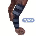 Extra Supportive Canine Leg Braces: Protect & Recover Your Dog's Hock Joints
