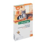 Cat & Rabbit Flea Treatment - Small