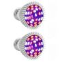 2 Piece Full Spectrum E26 LED Grow Light Bulb
