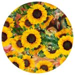 Arrangement Of Sunflowers Round Tablecloth