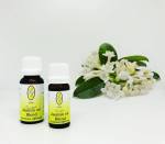 Jasmin Oil Blend 10ML