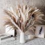 50pcs Natural Dried Pampas Grass Bouquet For Boho Wedding Fall Farmhouse Home Decor Fluffy Live Plant Arrangement Embellishments