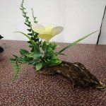 Mopani Driftwood With Plastic Plant – Small Assorted
