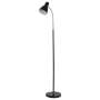 Rayswitch Metal Floor Lamp With Adjustable Gooseneck 1.5M Standing Lamp