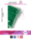 Disposable Micro Applicators 100PCS