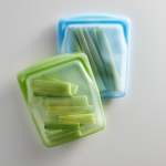Quart Bag 2-PACK - Green blue Bundle