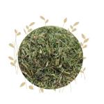 Bedstraw Cleavers - 75G