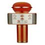 Portable Wireless Karaoke Microphone & Bluetooth Speaker & Echo Effect
