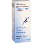 Heel Traumeel S Drops 30ML