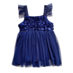Girls Navy Tulle Dress