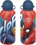Aluminum 500ML Bottle - Parent
