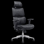Demo Of Wp Omega Ergonomic Chair