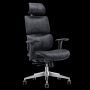 Demo Of Wp Omega Ergonomic Chair