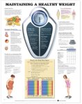 Maintaining A Healthy Weight 9779