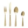 - 16 Piece Cutlery Set - Matt Gold