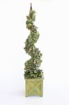 Ivy Spiral In Wooden Pot – 117X26CM