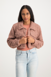 Chloe Cropped Teddy Jacket - Blush - XS
