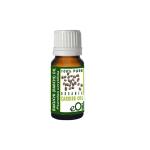 Babchi - Bakuchi - Seed Carrier Ayurveda Oil Organic - 10 Ml