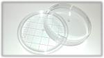 Contact Plates 55MM Box 300