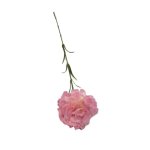 Carnation On Stem 63CM - Pink