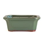 Assorted Glazed Bonsai Pots 6" - Green Rectangular 15.5 X 12 X 6CM