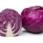 Cabbage Red 6 Pack