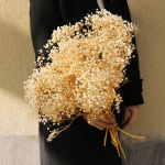 2000 Head Natural Dried Gypsophila Beige Bouquet For Wedding Valentine's Day Home And Table Decor - 75G Bundle Preserved At Full