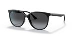 Ray-ban Black- Grey Gradient