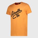 Airwalk Hawk Tee _ 181140 _ Orange - M Orange