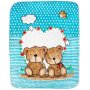 Mink Blanket Brown Bear