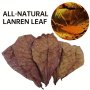 10PCS Fish Tank Elemene Leaves Aquarium Betta Leaves Reduce Acid To Adjust The Ph Value Of Water Quality And Raise Turtle